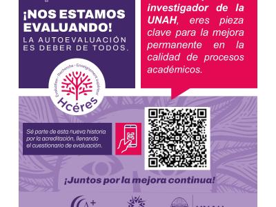 Profesor Investigador